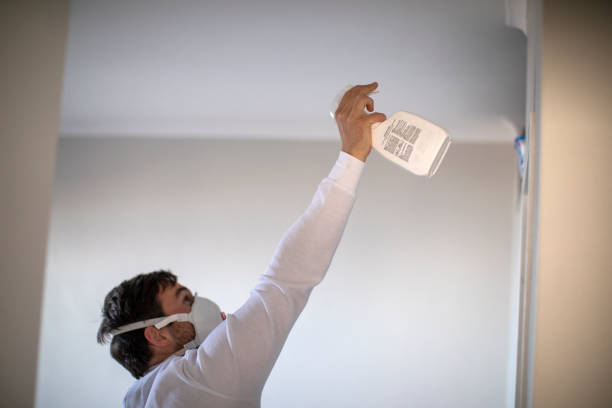 Best Localized Mold Remediation (e.g., coastal areas, humid climates) in Iva, SC
